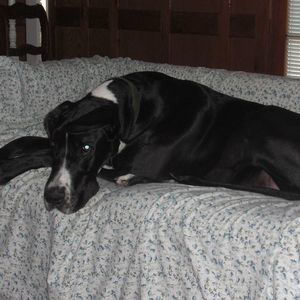 Meet your Posher, Laura